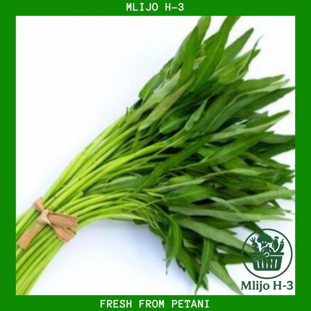 

Sayur Kangkung Segar, 1 ikat