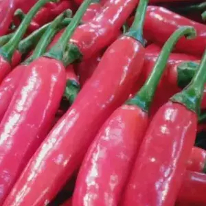 

cabe merah TW 250g