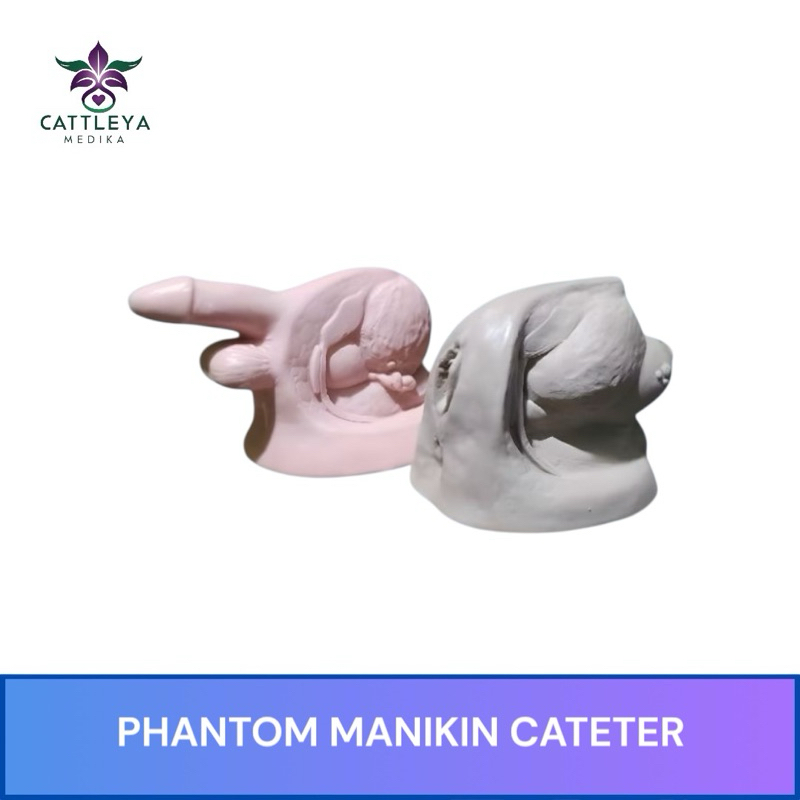 Phantom Manikin Cateter / Phantom Manekin Kateter