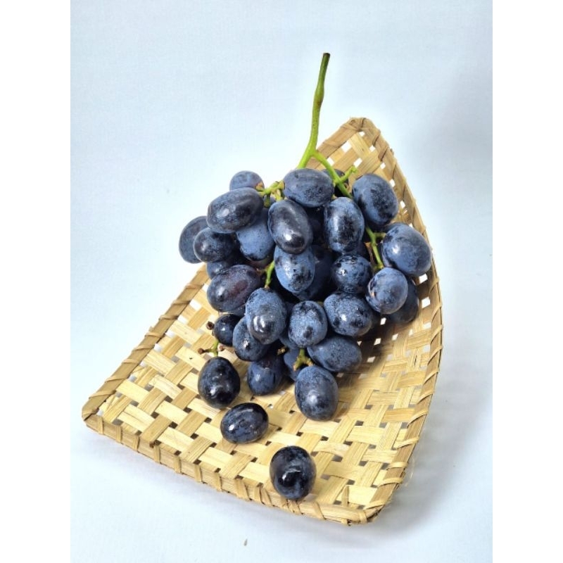 

buah anggur hitam autumn royal sedles jumbo no biji fresh termurah perdus 10 kg