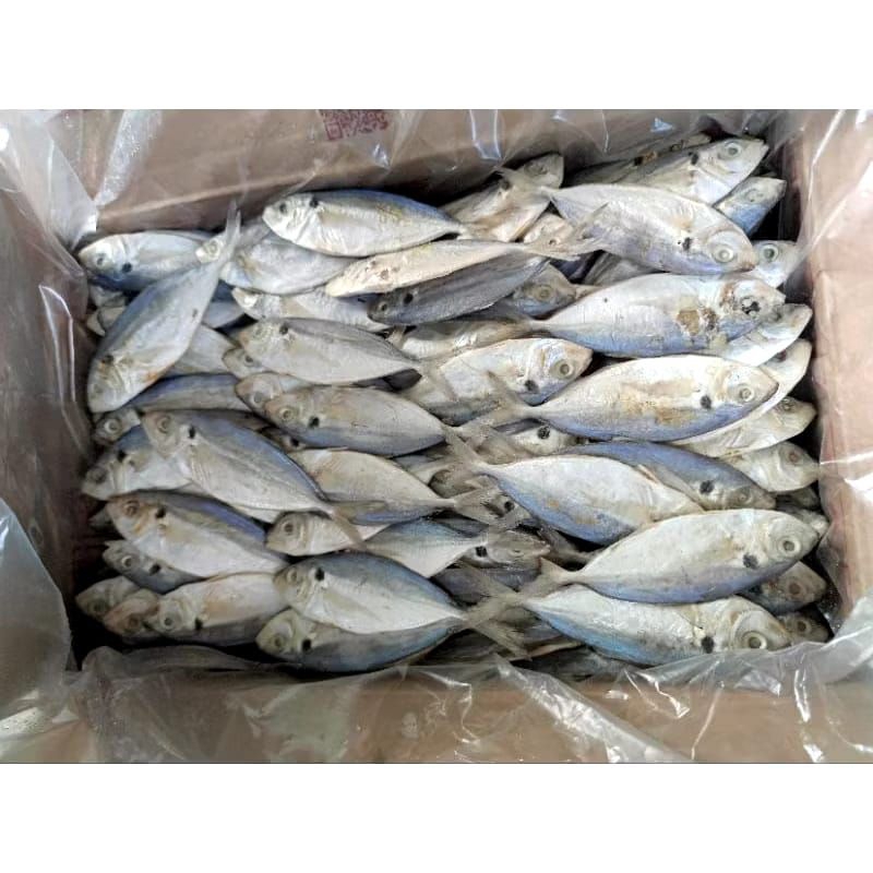 

Ikan Asin selar kering