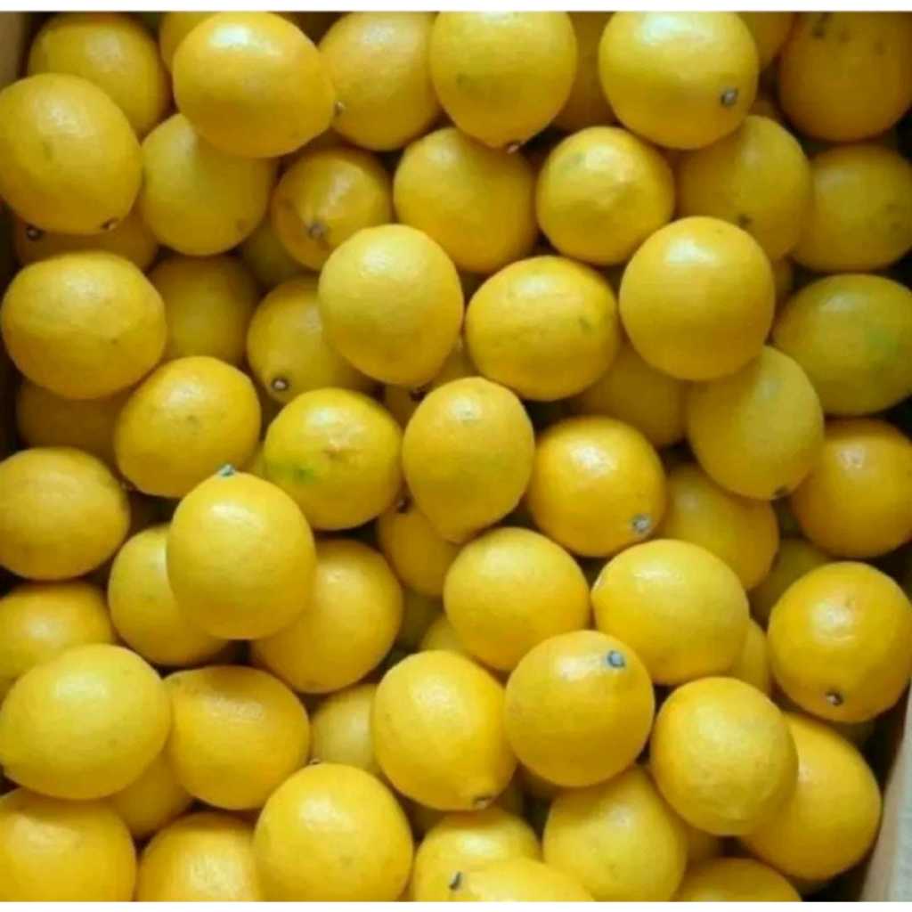 

SUUR LEMOEN - Buah Jeruk Lemon California 1KG
