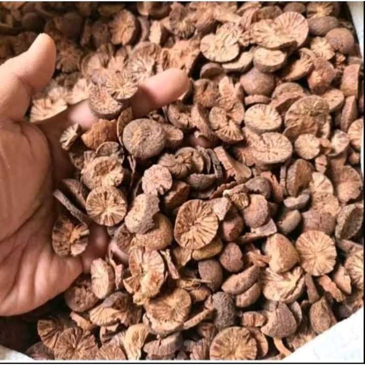 

Pinang Muda Iris Kering 500gr - Jambe Muda Iris Kering