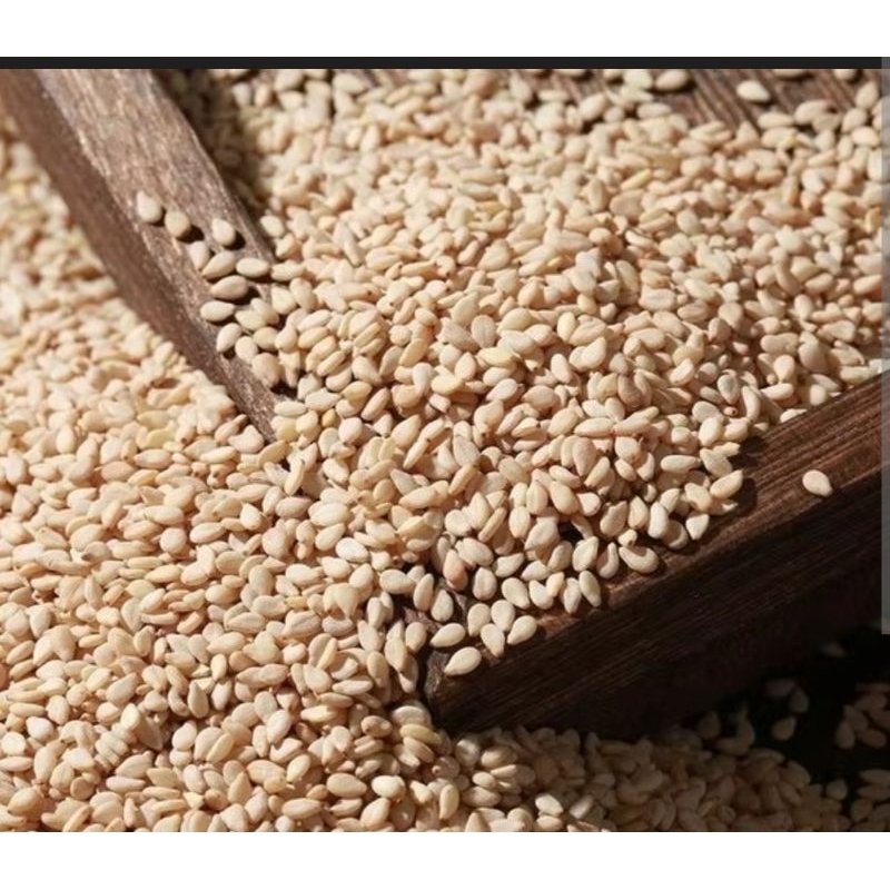 

Wijen putih / White sesame 250gr