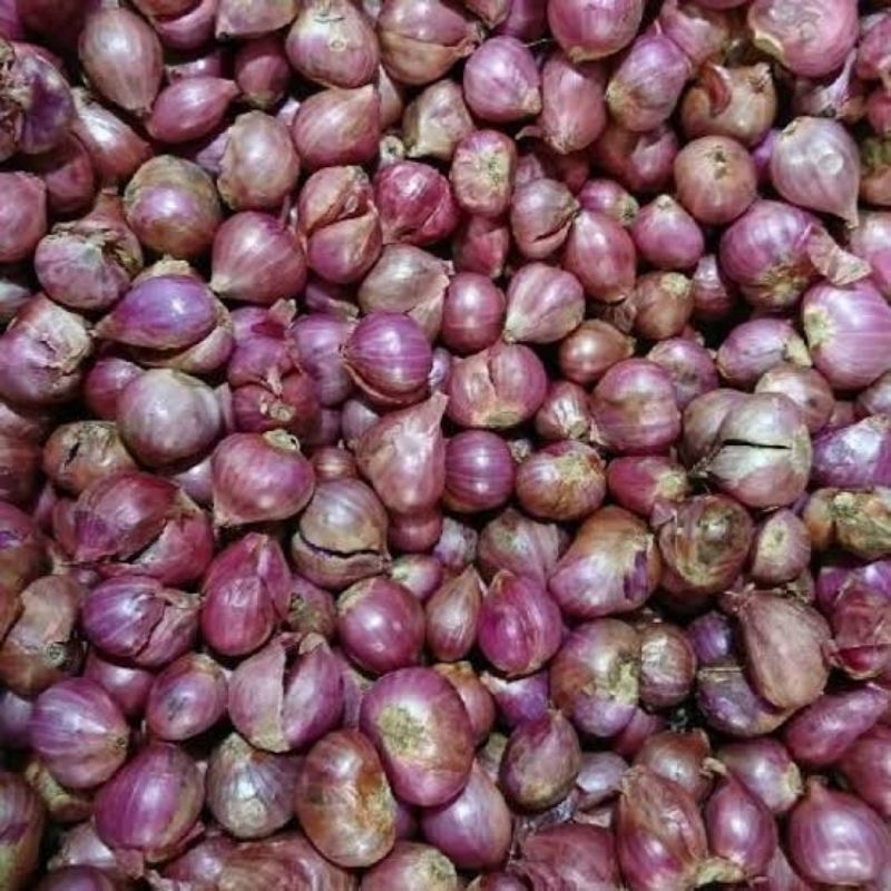

bawang merah "sedang" segar dari petani harga terjangkau kwalitas unggul