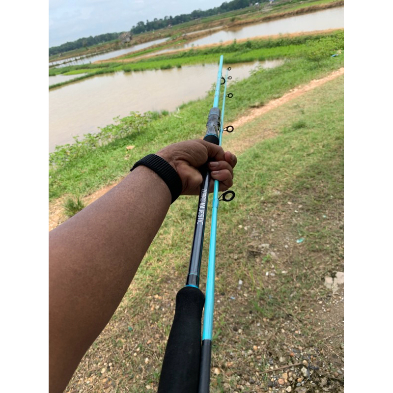 joran pancing zorro majestic medium action