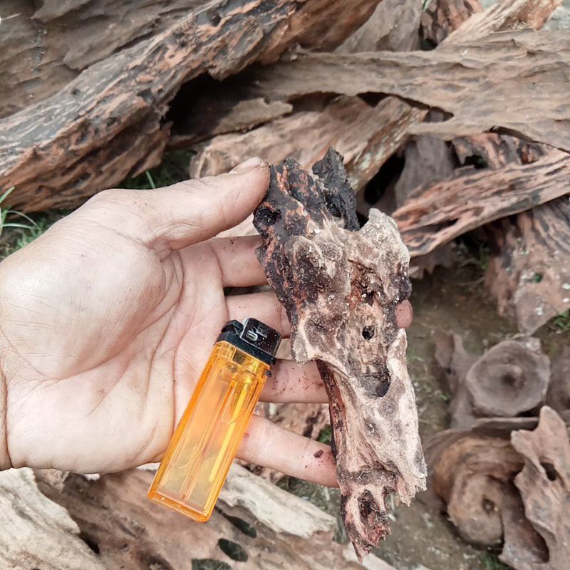 kayu rentek kecil aquarium (mini detail)