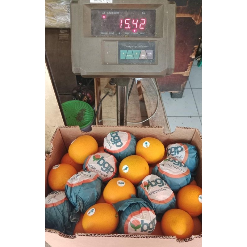 

Indukbuah Buah Jeruk Sunkist Valencia Sankis valensia 1 Dus Karton