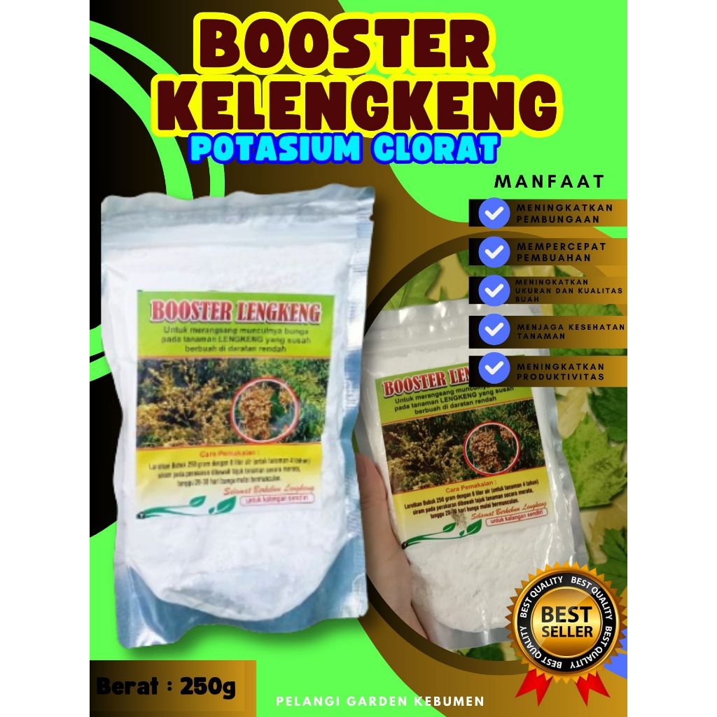 PALING DICARI  Boster Kelengkeng Cangkokan