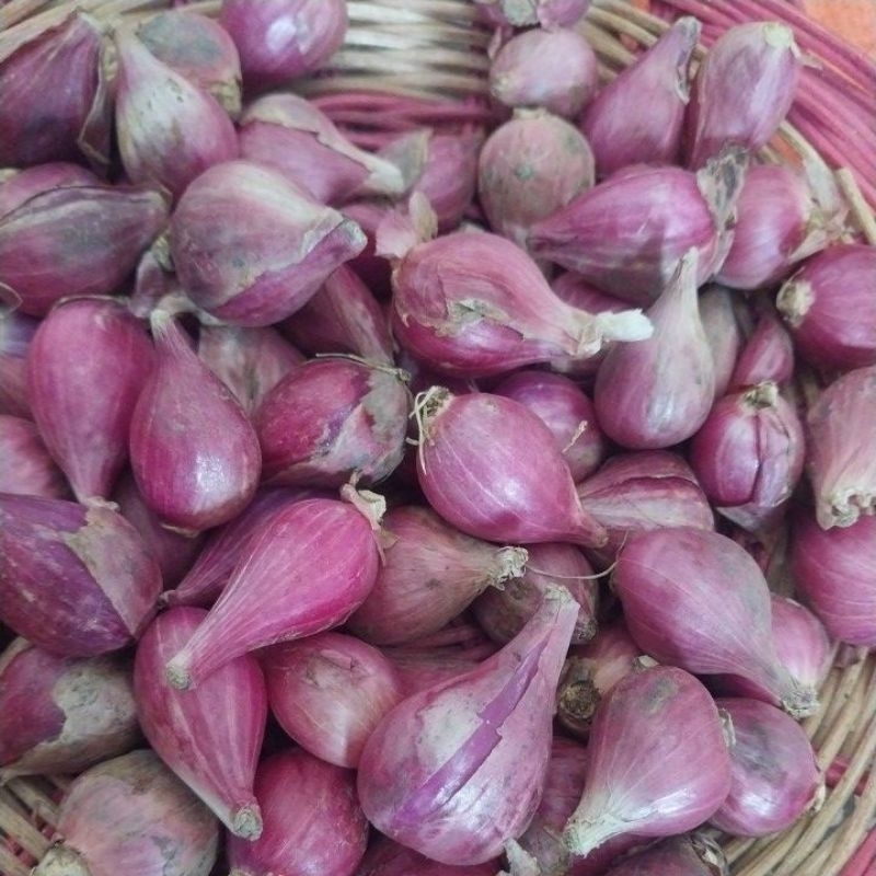 

Bawang Merah Kering ASLI BREBES Uk. Sedang tanggung 250gr