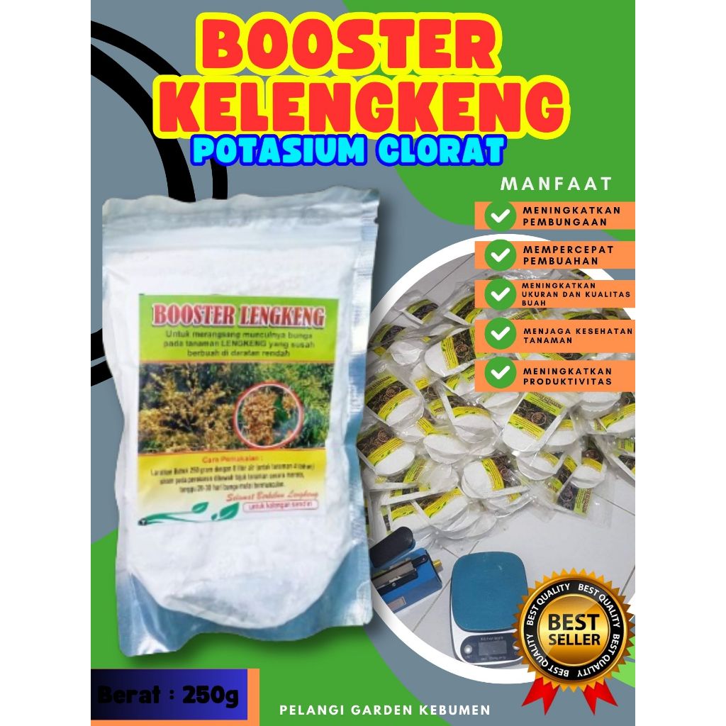 DIJAMIN ASLI  Booster Kelengkeng Berbuah, Booster Kelengkeng Berbunga, Booster Kelengkeng Cepat Berb