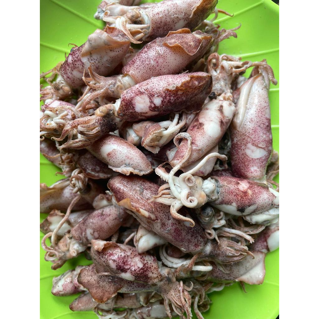

Cumi asin kering super cumi asin medan premium cumi kering siap masak