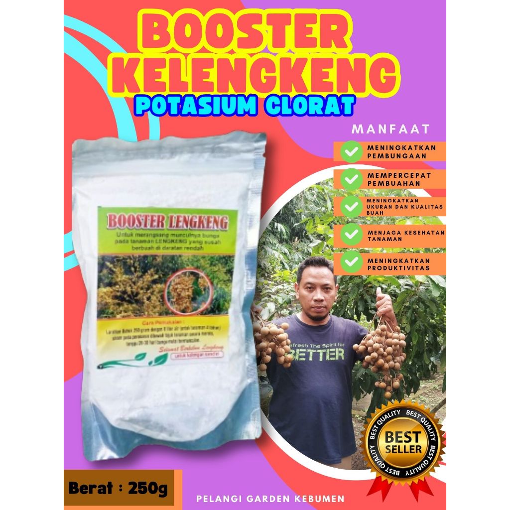 DIJAMIN ASLI  Booster Kelengkeng Kcl03, Booster Kelengkeng Kclo 3 Murni, Booster Kelengkeng Kclo 3