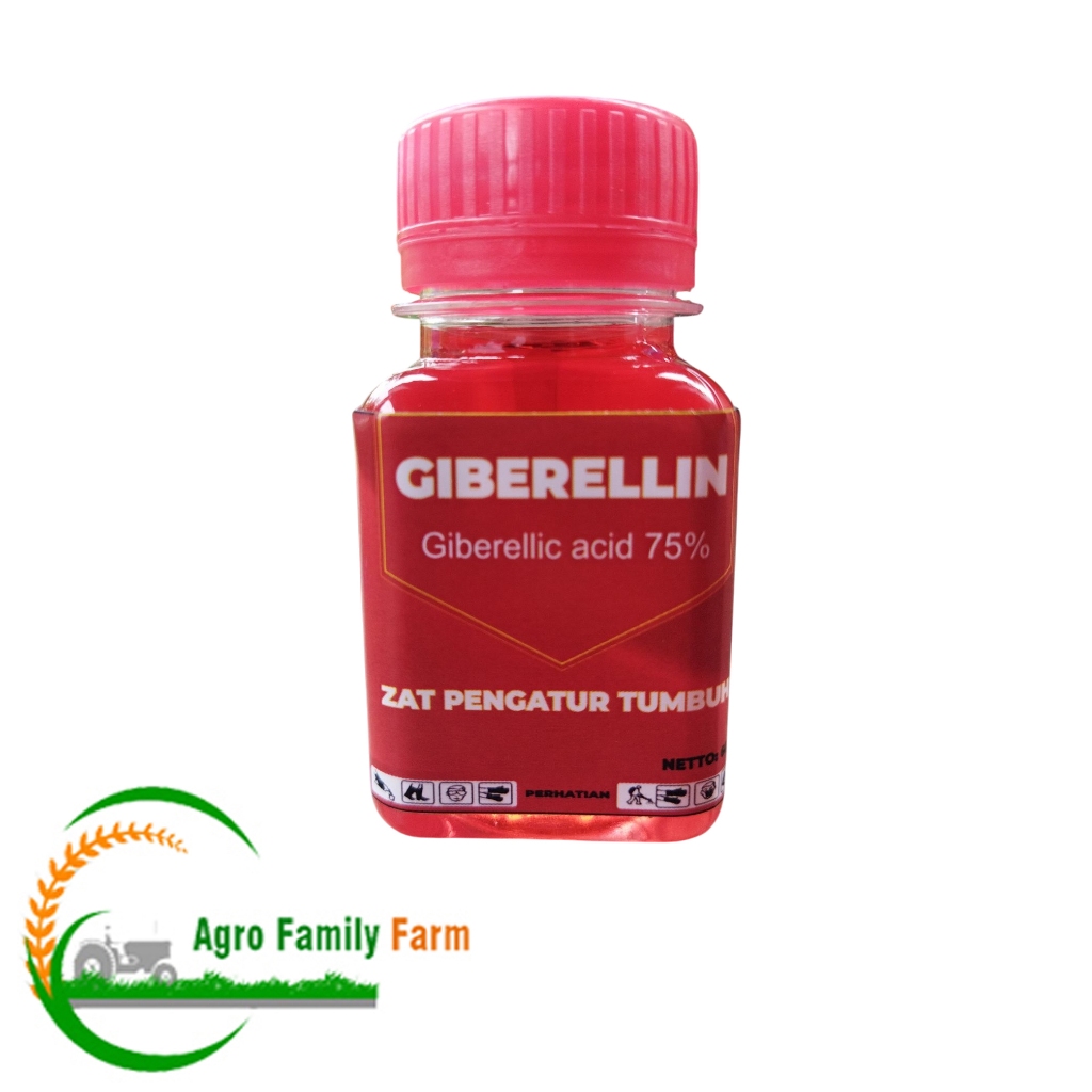 Giberelin Giberellin GA3 Hormon Pertumbuhan Dan Pengisian Buah