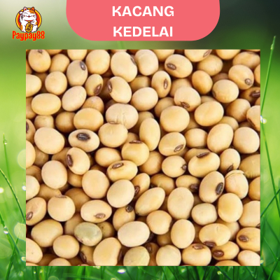 

KACANG KEDELAI ORGANIK / SOY BEAN PREMIUM 250 - 500 GRAM