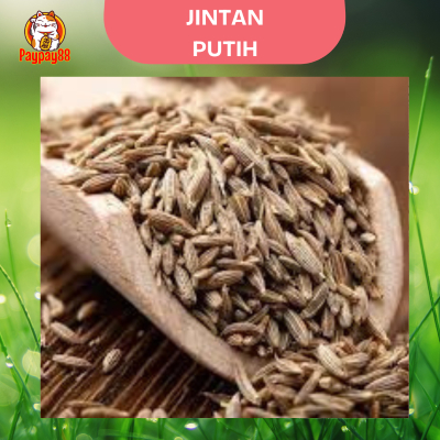 

JINTAN PUTIH PREMIUM / CUMIN SEEDS / JEERA / BIJI Jintan 500 GRAM