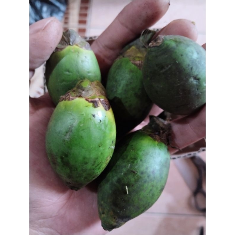 

buah pinang muda segar organik 500gram