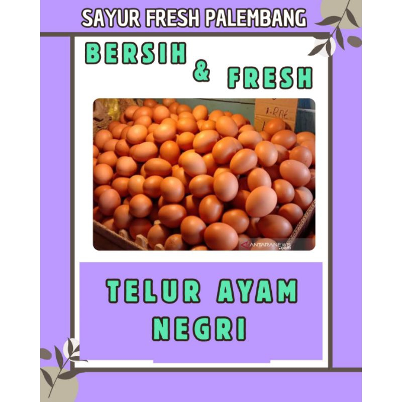 

TELUR AYAM NEGRI - PALEMBANG