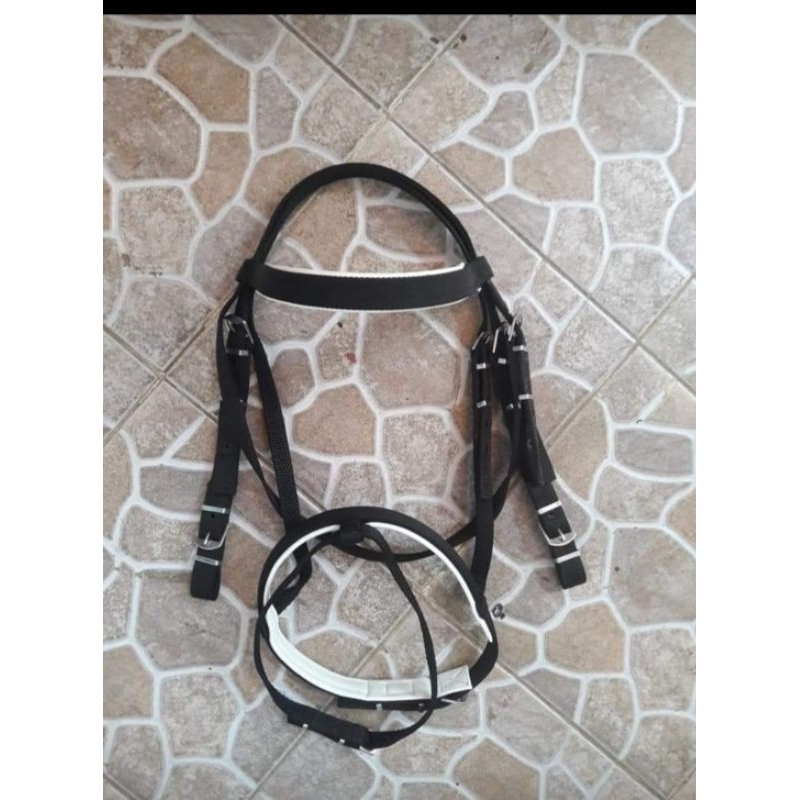 Bridle+Nosering Asia