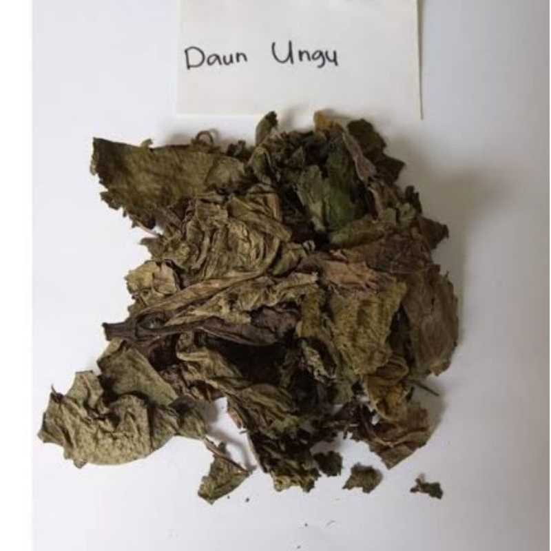 

Daun ungu kering iris cacah per 2 bungkus daun handeuleum kering