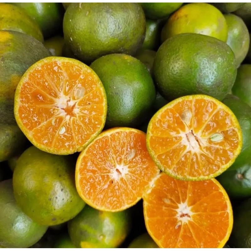 

Jeruk Peras Jember Jumbo 1kg – Manis Segar, Banyak Air | Cocok Buat Jus