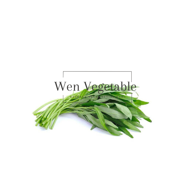 

Sayur Kangkung Segar Per Ikat