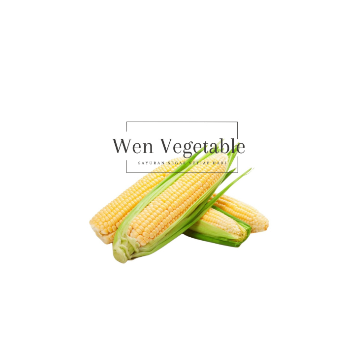 

Jagung Manis Segar per pcs