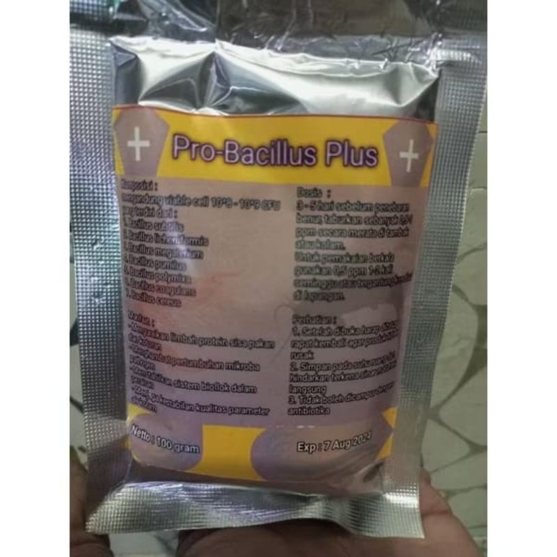 Probiotik Bacillus Plus 100 Gram / Probiotik Kolam Bioflok / Probiotik / Bakteri Starter / Kolam Bio