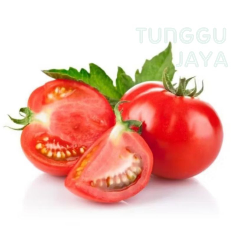 100 BIJI BENIH TOMAT HIBRIDA biji benih buah sayur unggulan