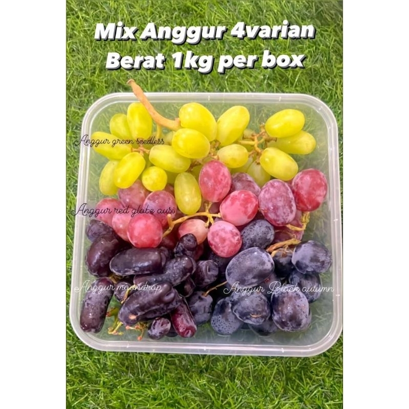 

Anggur Mix Fresh 1kg – Segar & Berkualitas Tinggi