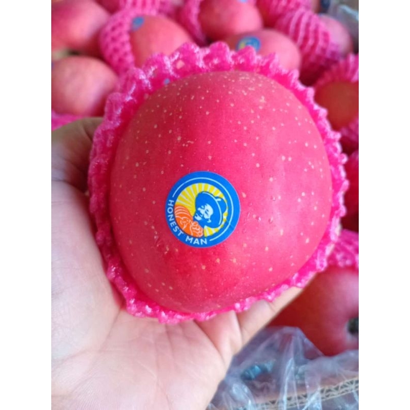 

Apel Fuji Honestman 1kg – Segar & Manis