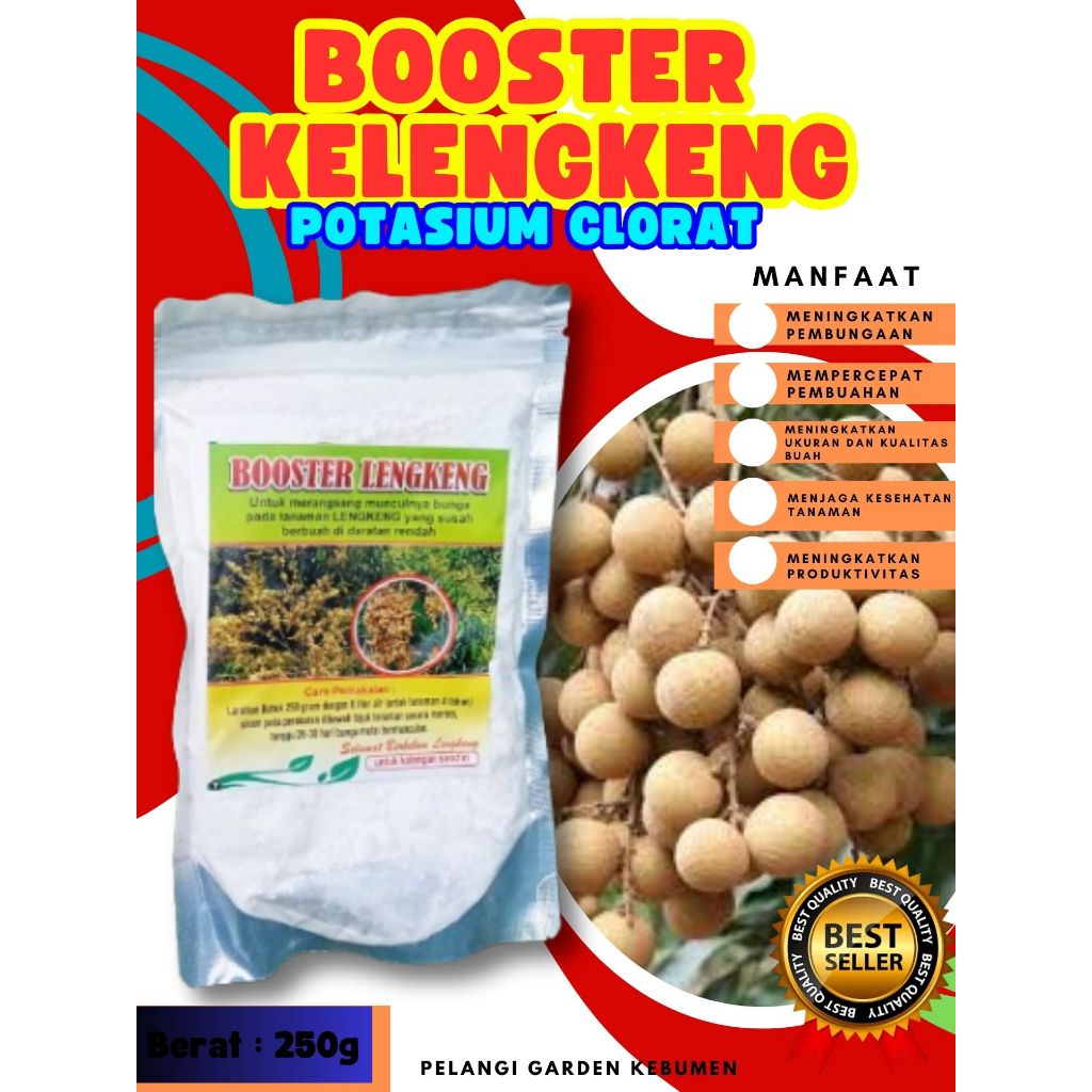 KUALITAS TERBAIK  Booster Kelengkeng Kcl03 MurniKUALITAS TERBAIK  Booster Kelengkeng Kcl03 Murni