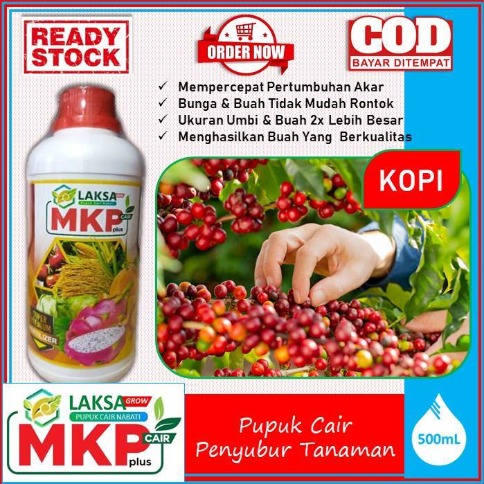 (Recommended) Pupuk Tanaman Kopi Terbaik - BIO NPK CAIR LAKSA GROW - obat cair semprot isi 500 ML be
