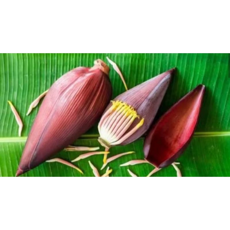 

jantung pisang segar fresh