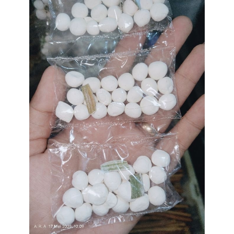 Pupur beras rentengan isi 10bks. pupur dingin . pupur basah khas banjar