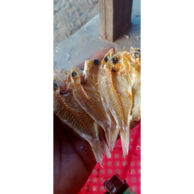 

Ikan Abangan / Terapok Tawar 500Grm