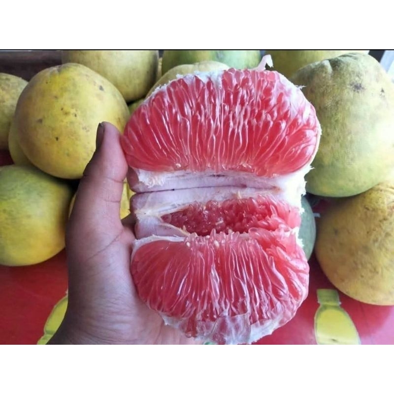 

jeruk pamelo madu 600-800 gram merah manis tanpa biji