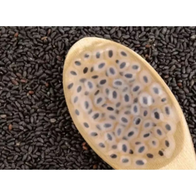 

Biji Selasih 50gr Untuk Minuman