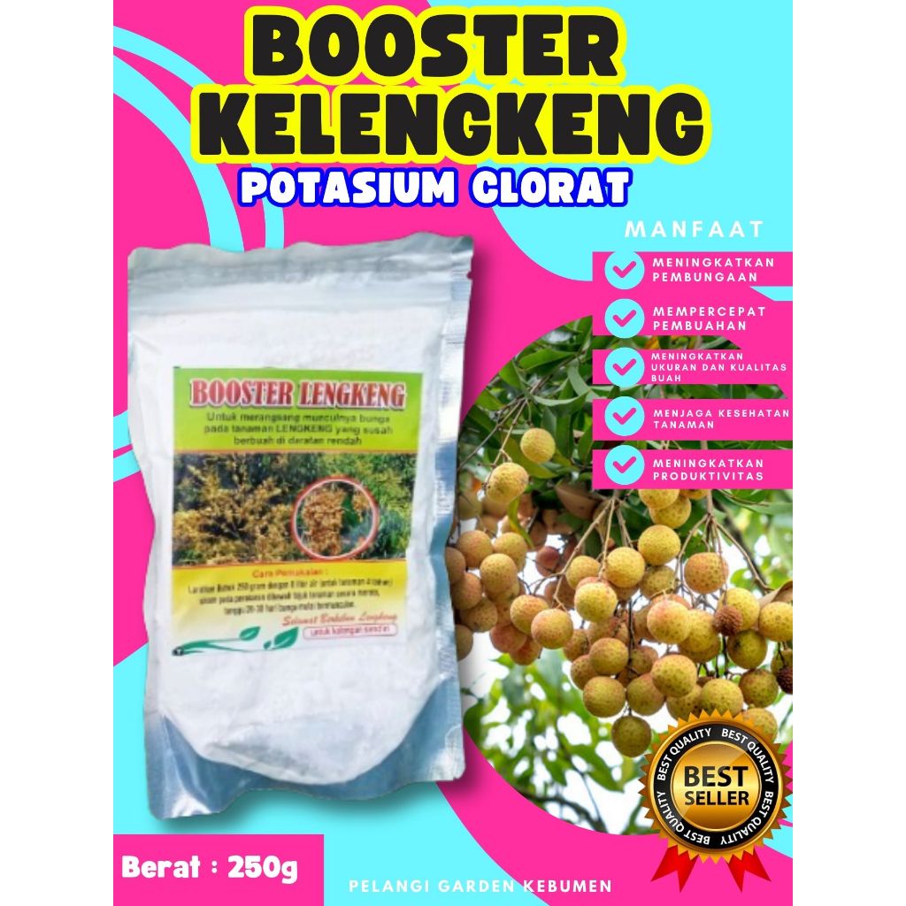 BEBAS JAMUR  Booster Kelengkeng New Kristal Cangkok, Booster Kelengkeng New Kristal Berbuah, Booster