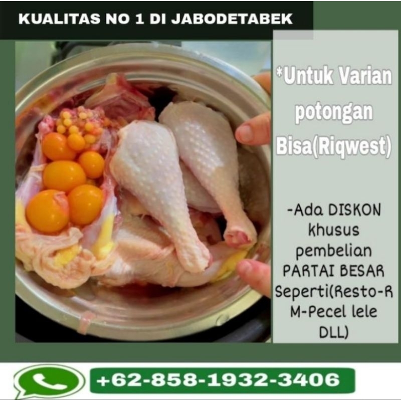 

Ayam Kampung Berkualitas