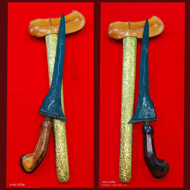 lintang kemukus kebo