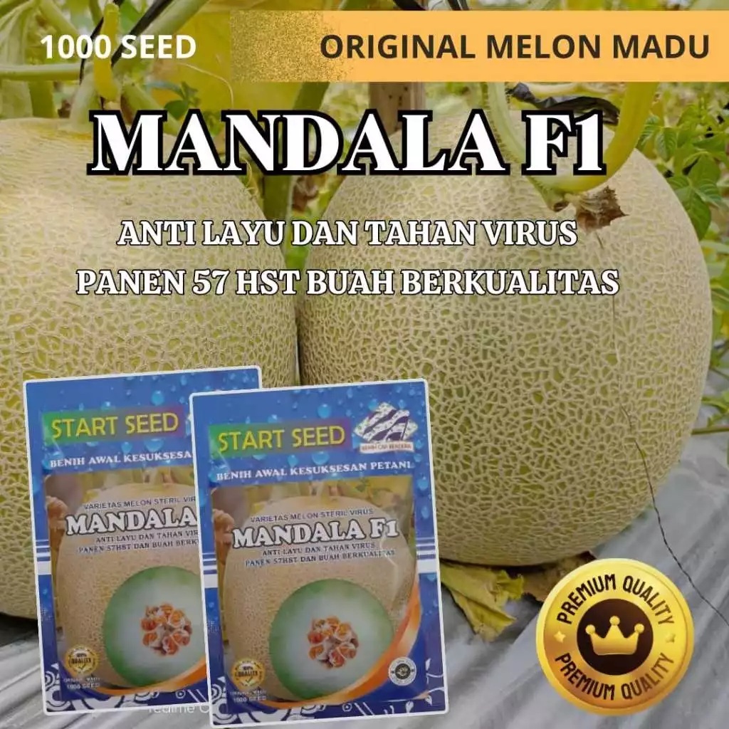 

Benih Melon Madu Mandala F1 1000 Biji Super Manis Unggul Ori Original