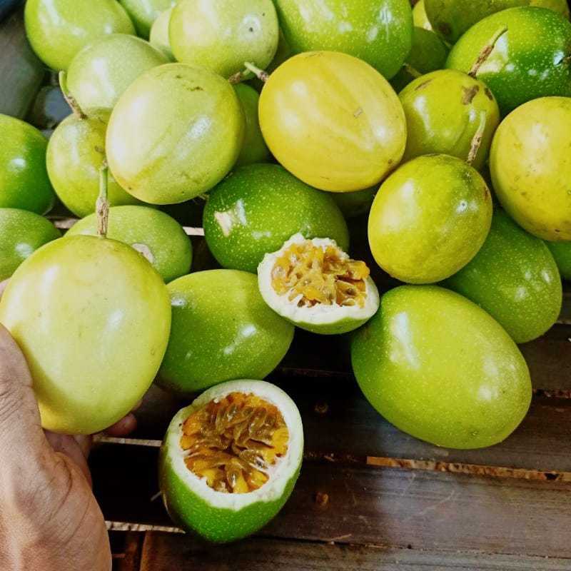 

buah markisa segar asam manins