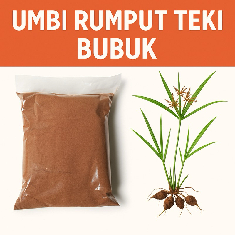 

Bubuk Herbal Umbi Rumput Teki (Cyperus rotundus) – kemasan 100gr