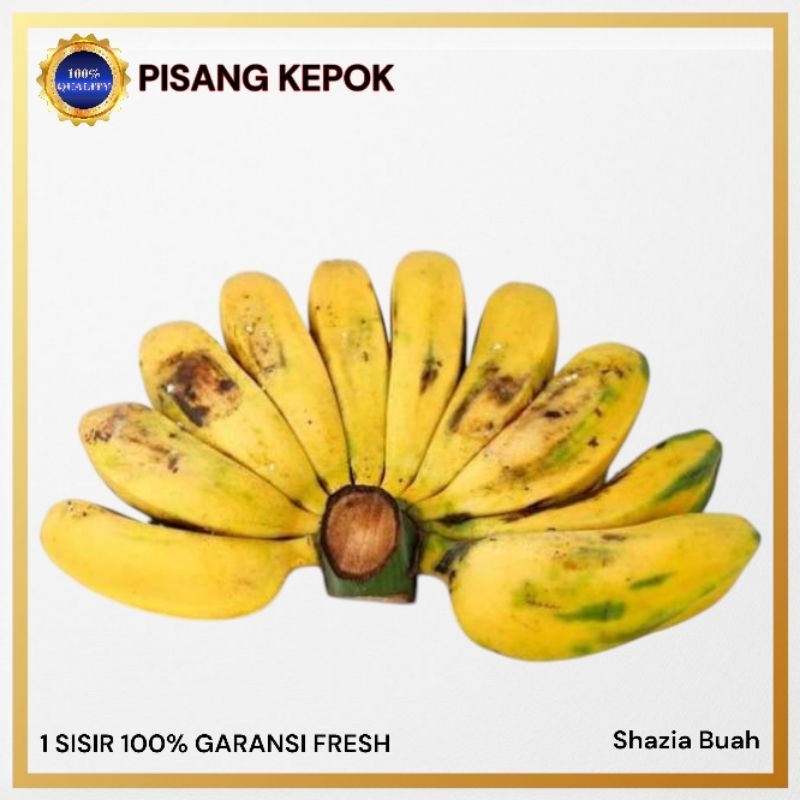 

Pisang Kepok | Pisang Kepok Kuning | Fresh