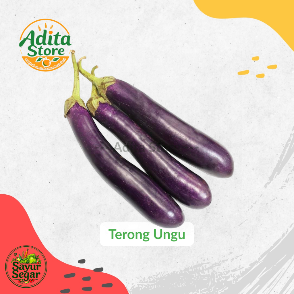 

TERONG UNGU