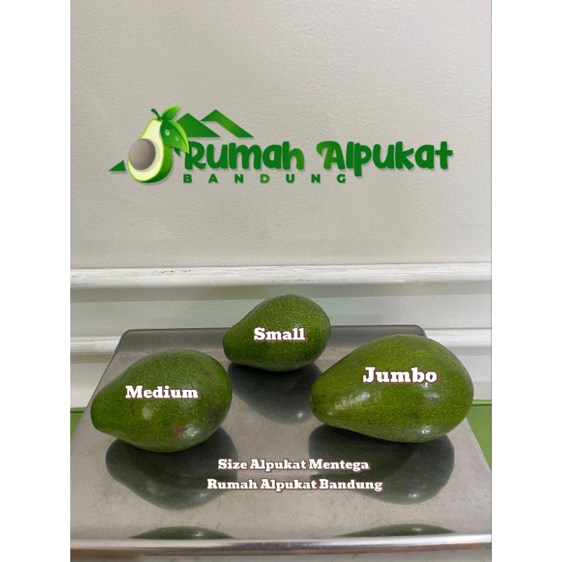

1 Kg Alpukat Mentega Size Small isi 5 Buah (Delivery Instan & Sameday Bandung Raya)