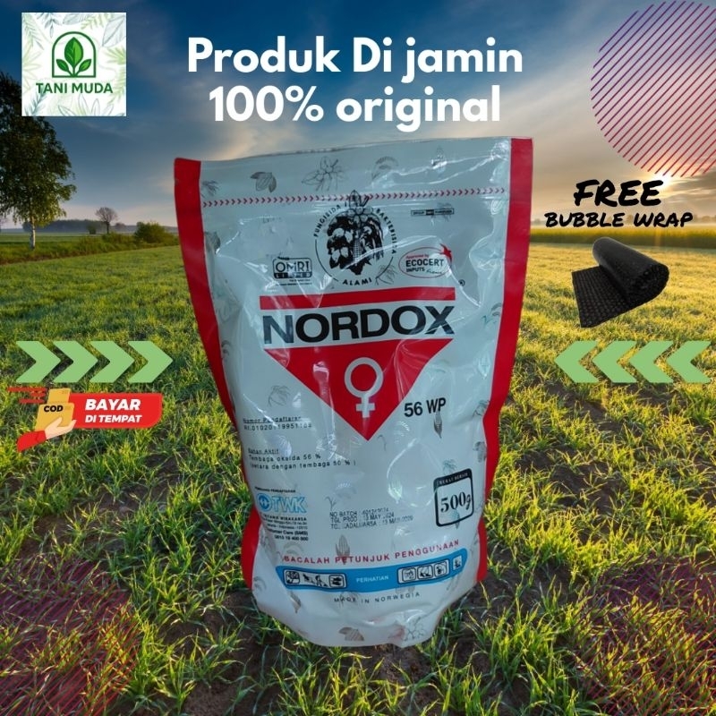Nordox 56 wp 500gr - fungisida