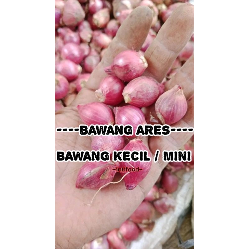 

Bawang merah murah ares (bamer kecil) isi 1kg rempah masakan