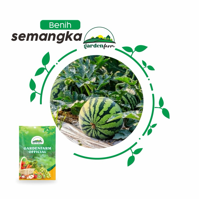 GARDENFARM - BENIH SEMANGKA AMARA F1 10 Gr - BIBIT SEMANGKA TERBAIK - BIBIT SEMANGKA SUPER MANIS